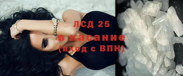 сатива Волоколамск