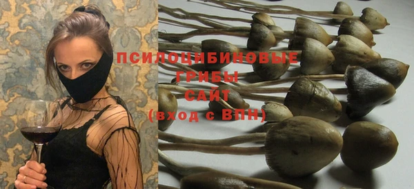 мдпв Волосово