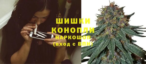 мдпв Волосово