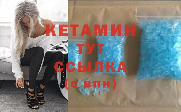 сатива Волоколамск